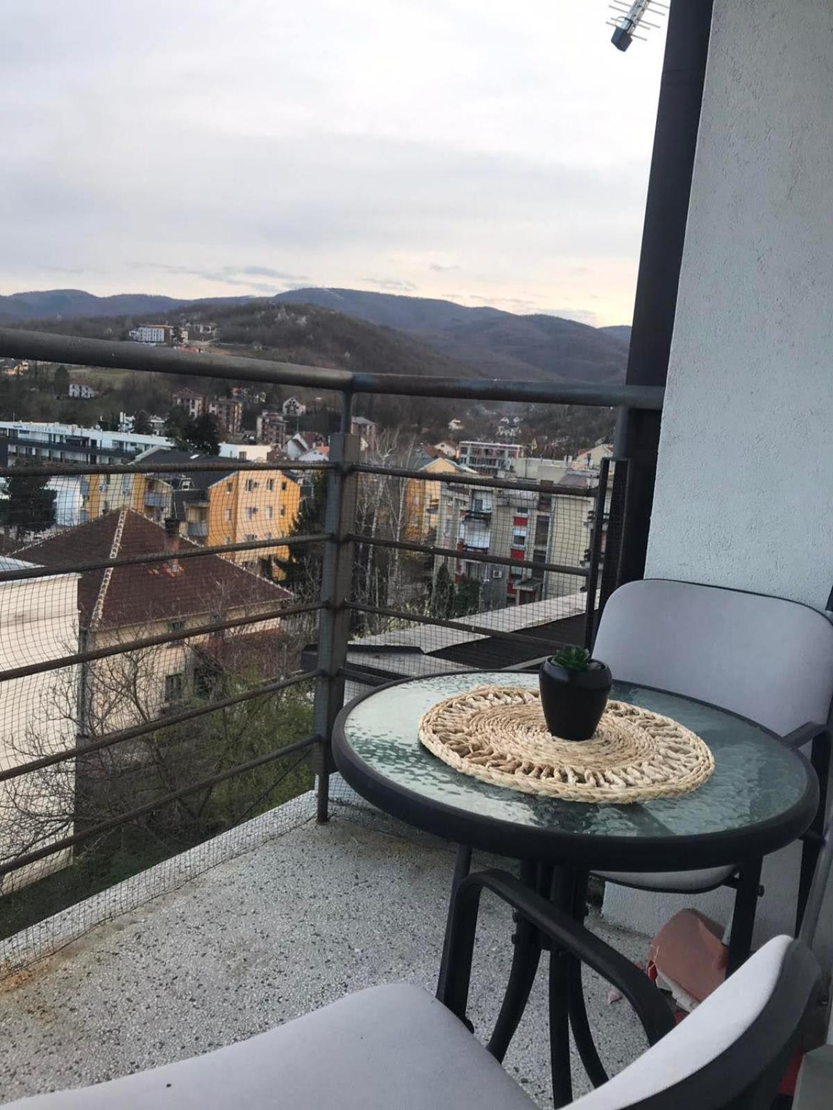 Vrnjačka BanjaGarmaniアパートメント 部屋 写真