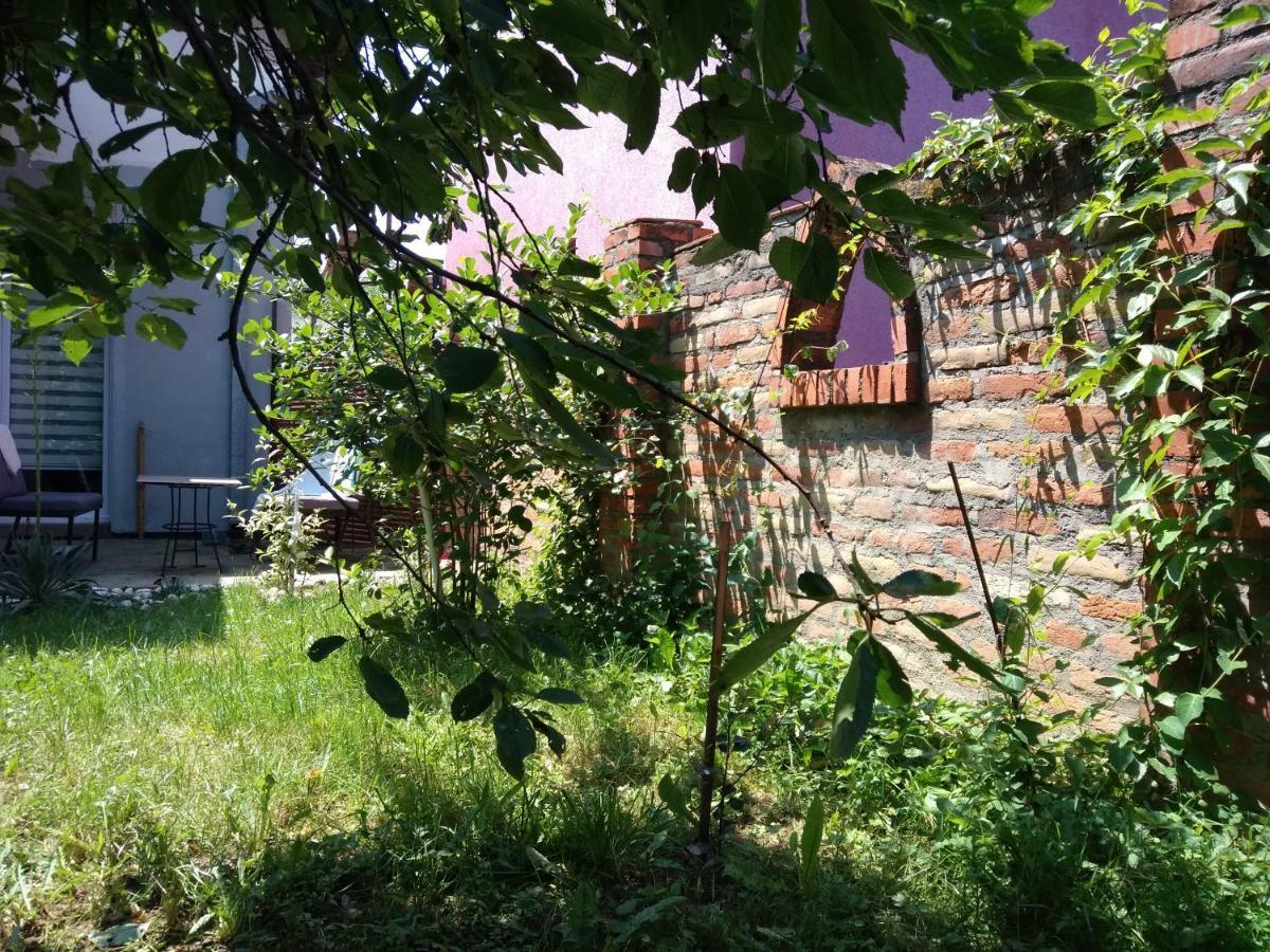 Vrnjačka BanjaGarmaniアパートメント エクステリア 写真